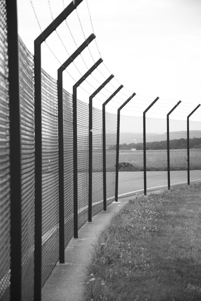 Invisible Lines: The Strange Powers of Borders and Why We Protect Them