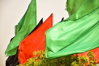 Leadership Transition and Party Evolution: The Case of Ganduje’s Resignation in Nigeria’s APC