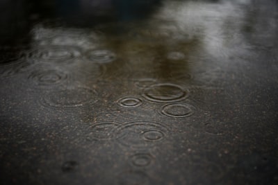 Rain That Remembers: The Forgotten Language of Water