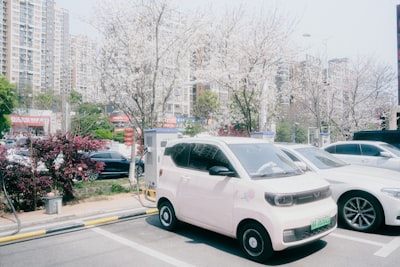 Chinese Electric Vehicle Manufacturing Industry