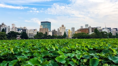 Growing Smarter: China and Brazil’s AI Alliance for Sustainable Farming