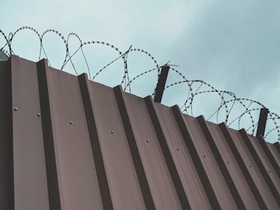 Immigration Detention in the United States