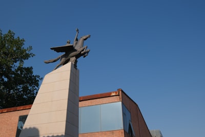 नागरिक उड्डयन महानिदेशालय (DGCA), भारत