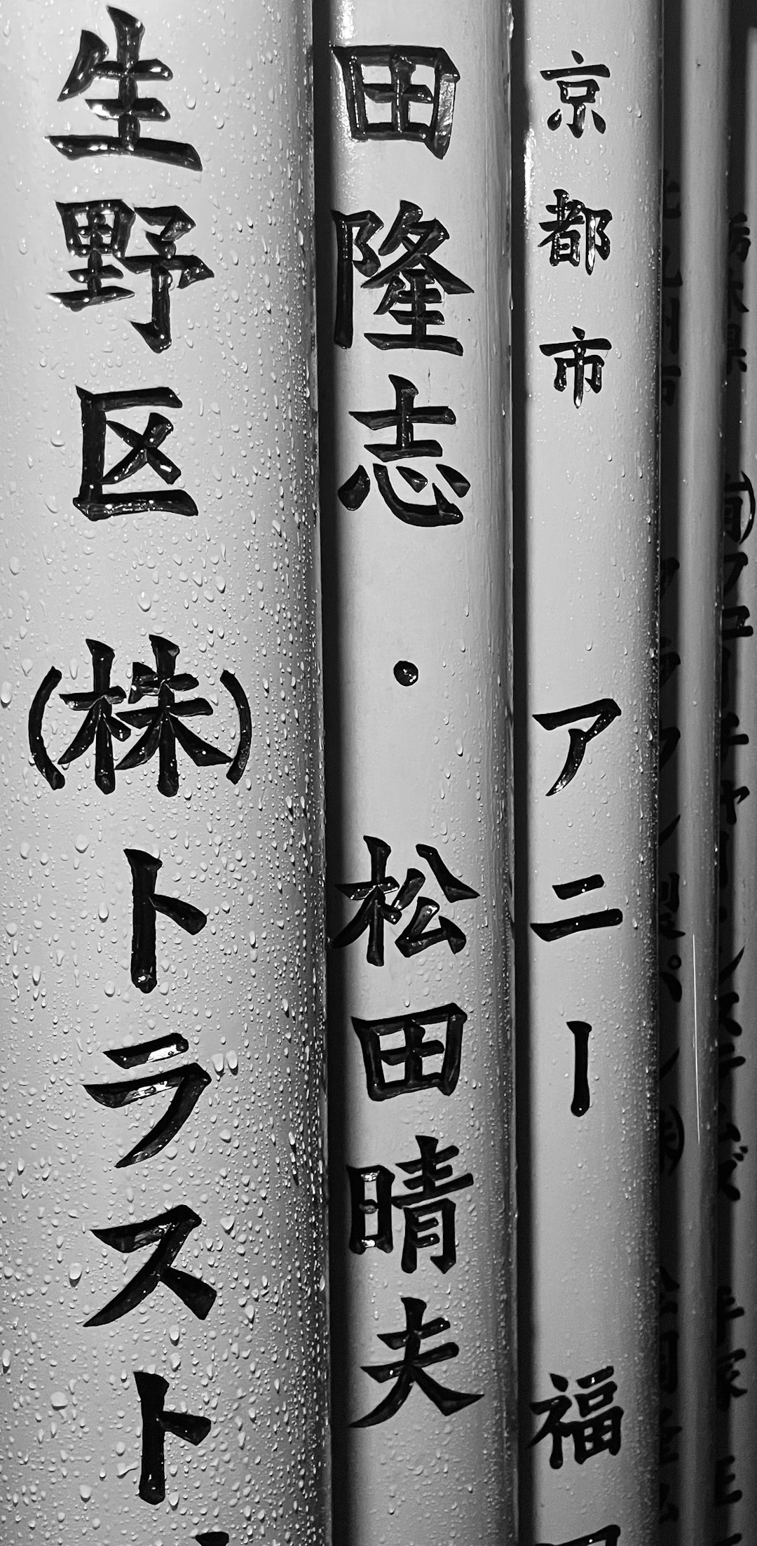 Essential Japanese Language Basic Phrases: A Comprehensive Guide
